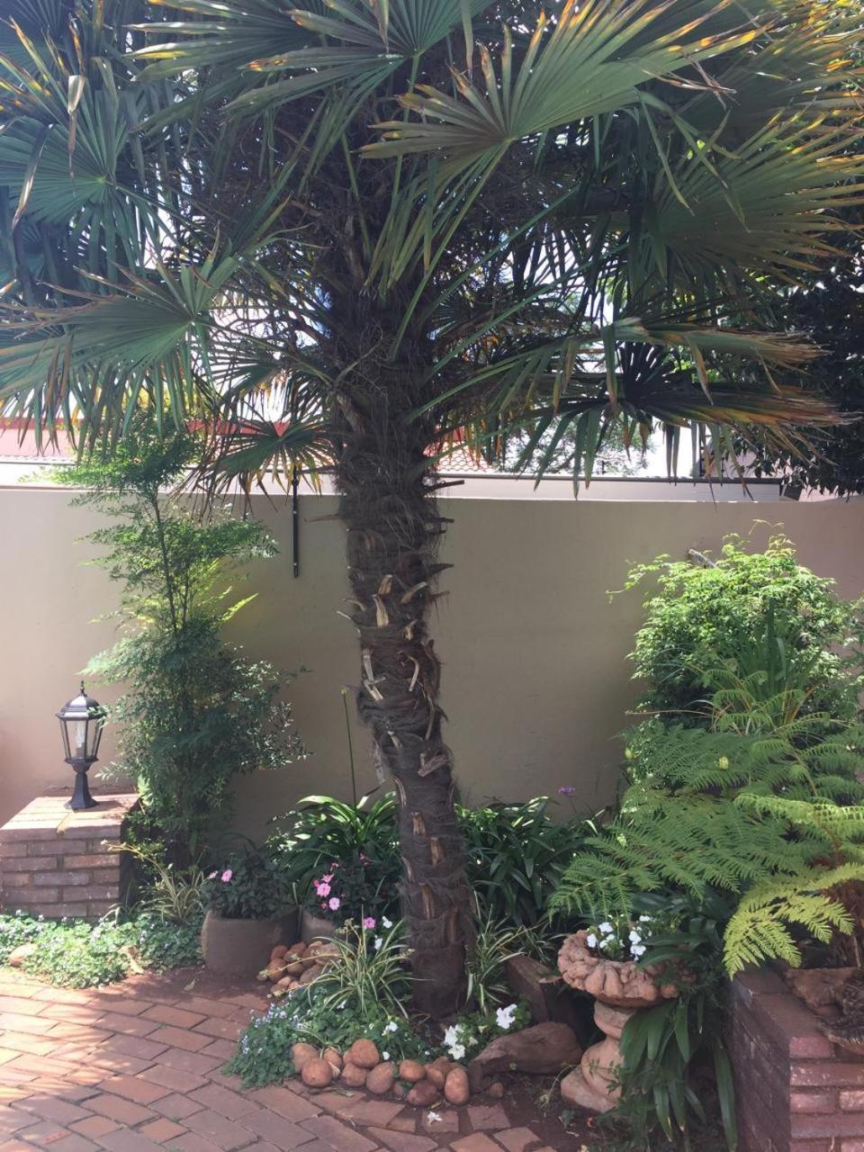 125 On Van Buuren Road Guest House Johannesburg Exterior photo